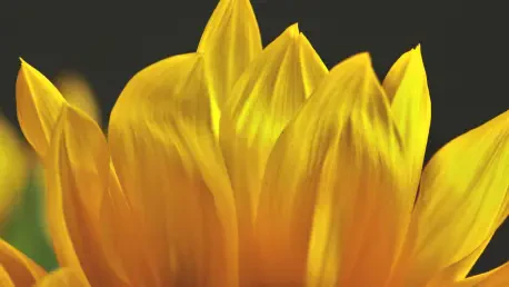How Are Canadian Pension Funds Shaping Sustainable Investments?