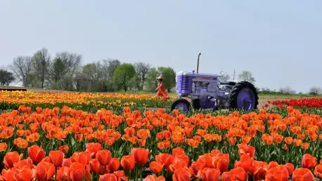 Why Is Illinois Suing State Farm Over Insurance Practices?