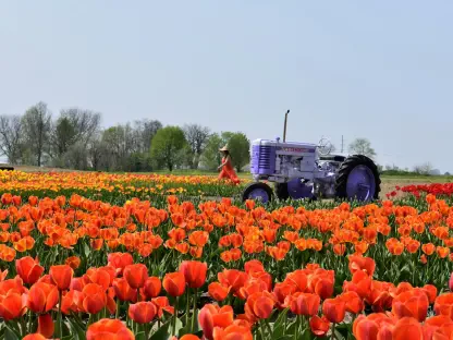 Why Is Illinois Suing State Farm Over Insurance Practices?